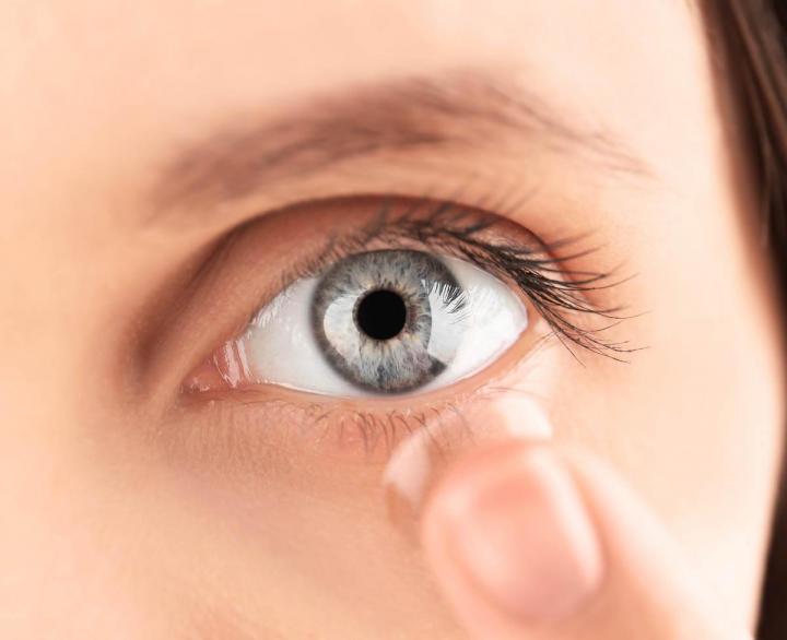 Votre magasin de lentilles de contact.